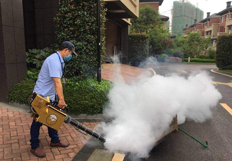重庆杀虫